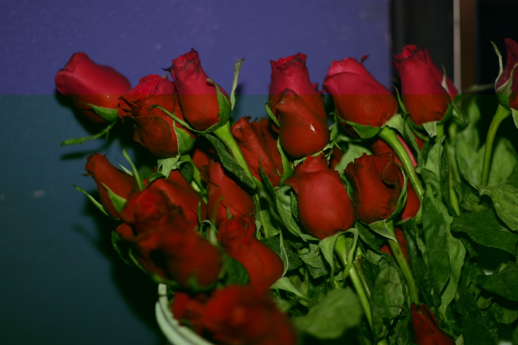 roses for the ladies